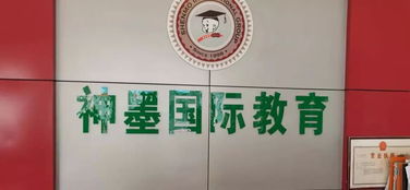 校外培訓機構整治工作有喜有憂，文化藝術交流活動策劃如何助力教育生態優化